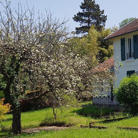 Ferienwohnung La Petite Sommiere Besançon Exterior foto