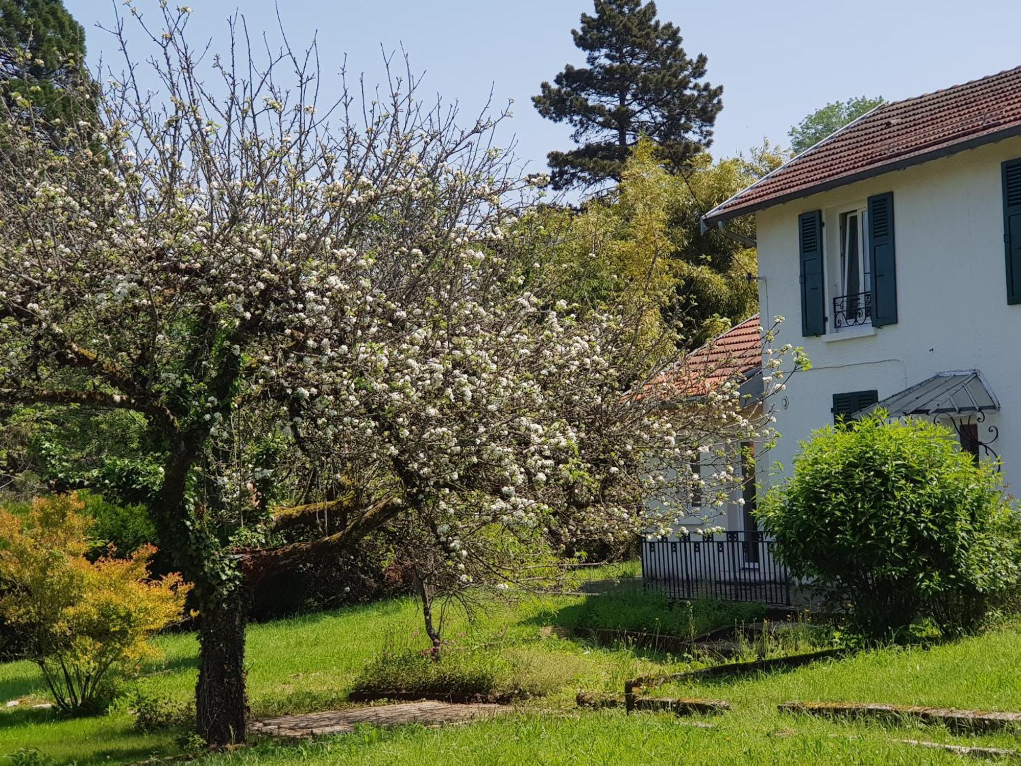 Ferienwohnung La Petite Sommiere Besançon Exterior foto